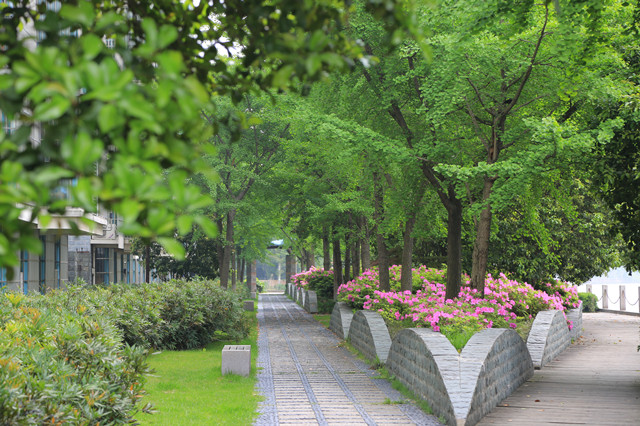 白荡河绿地